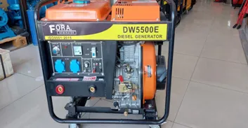 Дизельный генератор FORA  DW5500 E 5Kw (SAG)#1