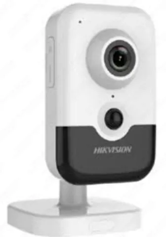 Videokamera H265+ DS-2CD2423G0-I#1