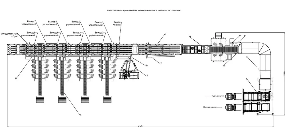 Линия сортировки и упаковки фруктов 10 тн/час#1