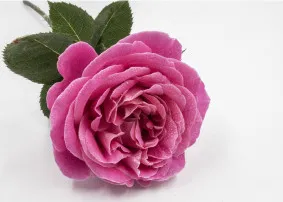 Отдушка с ароматом Французской розы#1