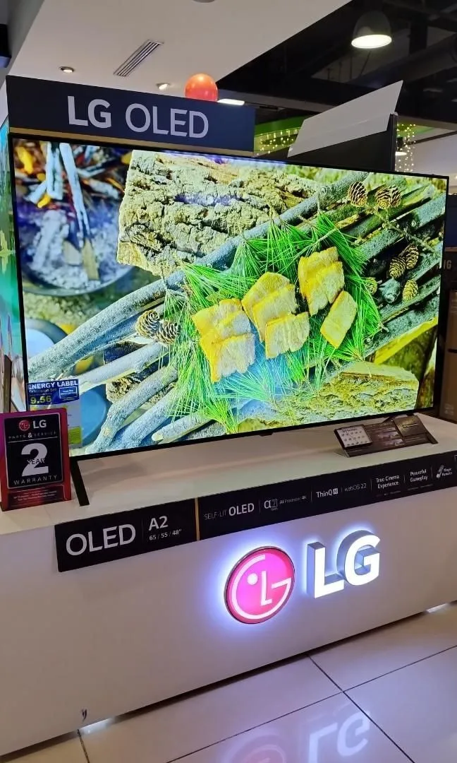 Телевизор LG 55" 4K OLED Smart TV Wi-Fi#1