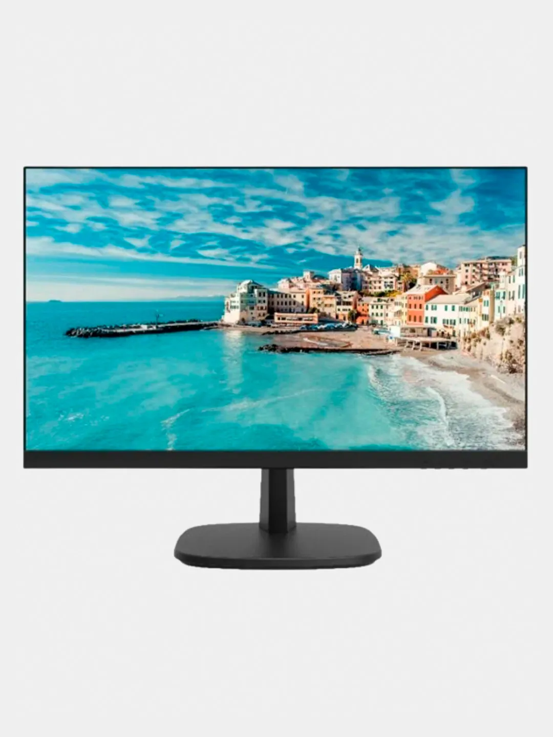 Video kuzatuv monitori "DS - D5024FN"#1