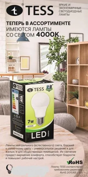 Лампа светодиодная A60 13 Вт "TESS" E27  6500K#6