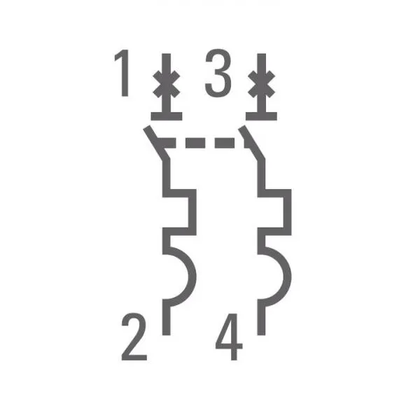 Автоматический выключатель 2P 25А (C) 4,5kA ВА 47-63 EKF#4