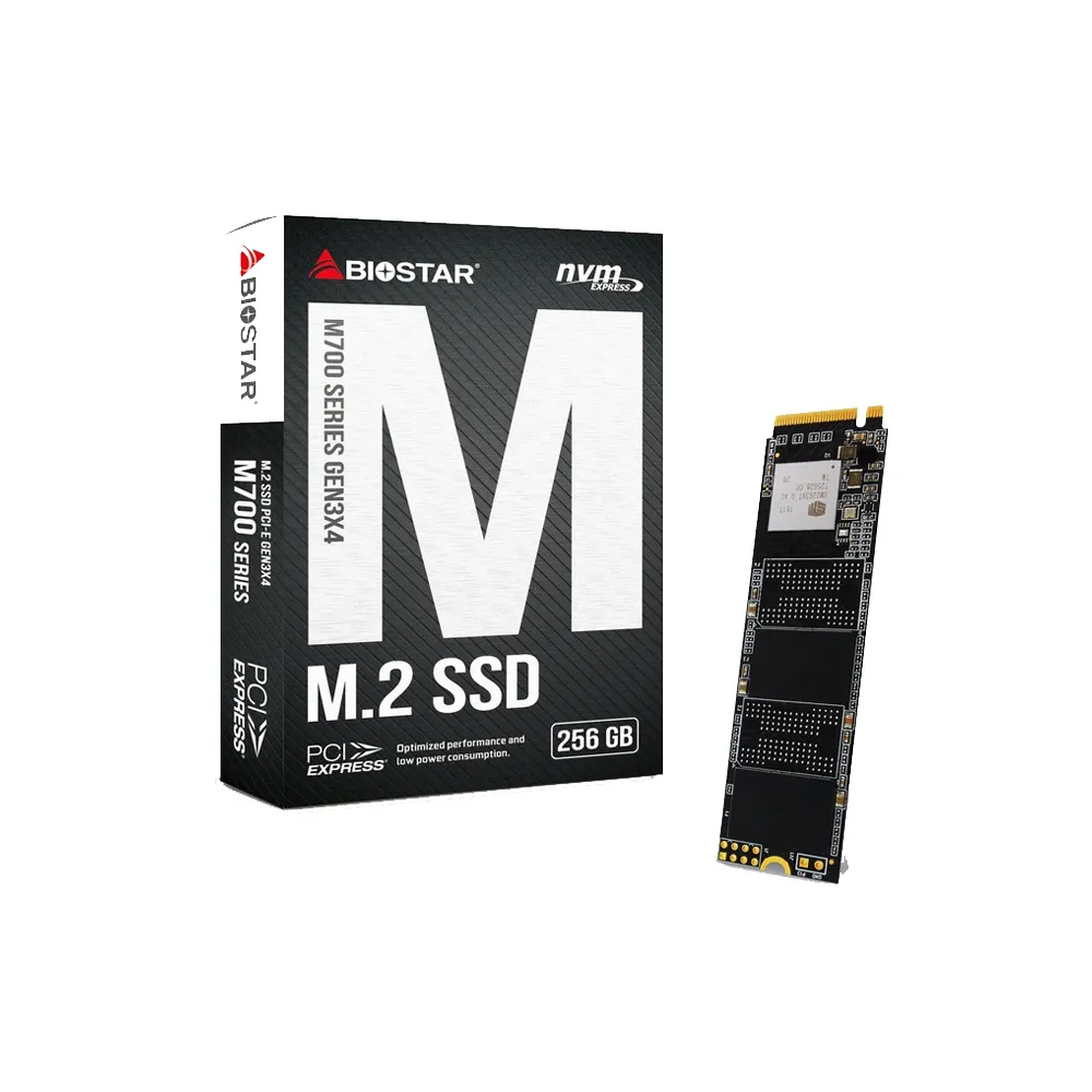 Накопитель SSD BIOSTAR M700-256GB#1