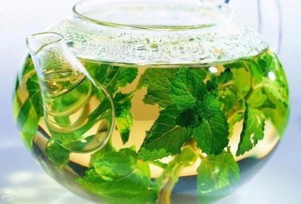 Зеленый чай с перечной мятой антиоксидант Vivasan, Швейцария#2
