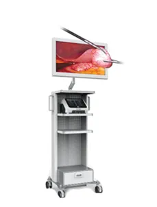 Real Endo VLS-200 3D laparoskopik tizimi