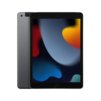 Planshet iPad 9 Wi-Fi - 256GB / Grey