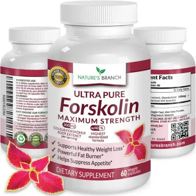 Kilo yo'qotish uchun xun takviyesi Forskolin Forskolin ekstrakti 40%