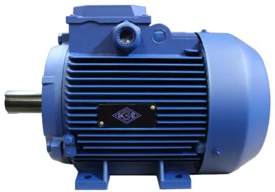 Электродвигатель АИР63B4 IM-1081 0,37 кВт 1500 об/мин (МЭЗ)