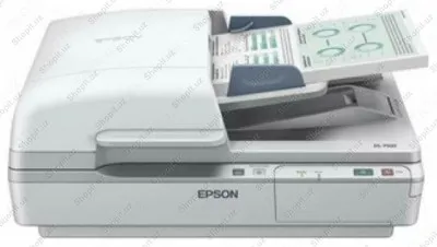 Skaner - EPSON WorkForce DS-6500