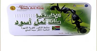 Potentsial uchun dori qora Afrika chumoli "Africa Black Ant King""
