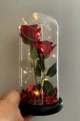 Две розы в колбе с подсветкой ck2 shk gift