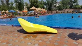 лежак для бассейна