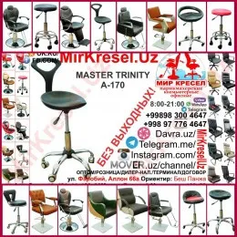 MASTER TRINITY A-170 купить кресло стульчик мастера со спинкой 2 в 1
