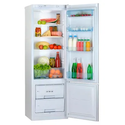 Холодильник двухкамерный бытовой POZIS RK-103